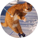 Ali Shaffer profile picture